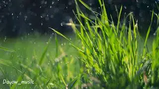 Raindrop