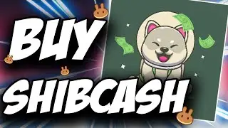 ShibaCash Token SHIBA CASH Coin ✅ How to Buy ShibaCash Crypto SHIBA CASH Token on Pancakeswap
