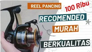 Riview Reel Pancing HE 5000