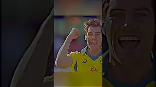pat cummins celebration  👀🤔#cricket #shorts