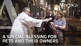 Why do we bless animals on the Feast of St. Francis?