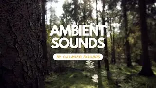 Relaxing Running Water Sounds for Studying, Concentration, Work and Memory