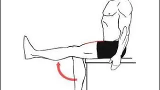 Dynamic knee Extension exercise//quadriceps Strengthening exercises//knee pain exercise #kneepain 