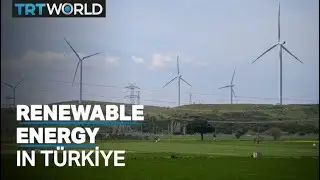T&uuml;rkiye&rsquo;s renewable energy triples in past decade