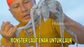 Pampi Tinta Gurita Bumbu Ketumbarl | JEJAK SI GUNDUL (29/01/26)