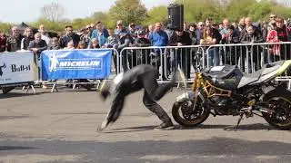 TWO BROTHERS STUNT TEAM with MARK VANDEL VAN DRIEL (FULL ROLY POLY DISMOUNT)