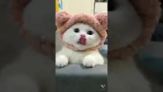 CHANAD WALA MUKHDA 🥰... SUBSCRIBE NOW#short #shorts #cute #video