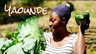 Yaounde -  Cameroon24