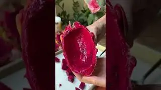Dragon Fruit Sorbet