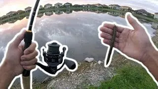 Catching TONS of bass on light spinning gear!!!