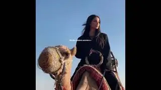 The beauty of Middle Eastern women ❤️❤️#shorts #middleeast #women #middleeasternwomen #aesthetics