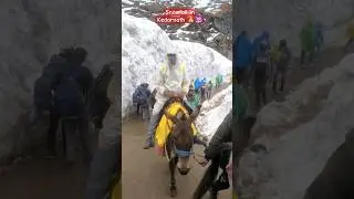 Snowfall in Uttarakhand Kedarnath #snowfall #uttrakhandtourism #kedarnathtemple #kedarnathsnowfall