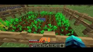 Let's Play Minecraft | Episode 4 - Photosynthesis
