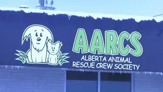 New Animal Shelter in Edmonton