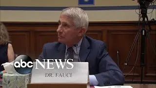 ‘I don't judge one crowd versus another crowd’: Fauci