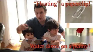 STEM Activity: 