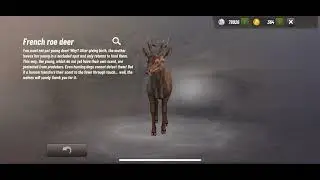 Hunting Clash:Hunting Every Animal In Provence Location