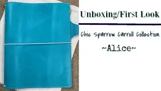 Распаковка Chic Sparrow/Первый взгляд | Коллекция Кэрролла | Алиса