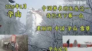  2026年1月 华山 美丽的雪景 中国陕西省渭南市华阴市