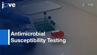 Antimicrobial Susceptibility Testing: Mycobacterium Tuberculosis Complex I Protocol Preview
