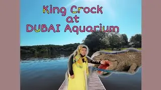 King Croc at Dubai Aquarium