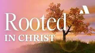 Rooted in Christ   Abide Sleep Meditation & Bible Story for Peaceful Rest