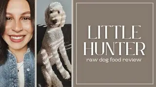 LITTLE HUNTER RAW DOG FOOD REVIEW