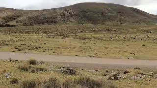 11 de enero de 2026
