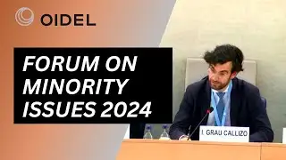 Minority Representation in Education - OIDEL on Expert Panel