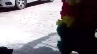 The heartless dog 🤣🤣🤣