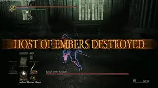 DS 3 | Managing Greatshields