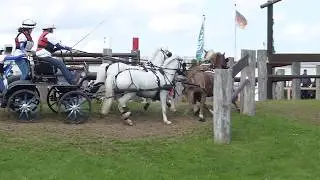 Howe, Sara, GBR, CH M P A1, A 2, A 4, Minden GER, Marathon Teams Ponies, Ob 7, 19 08 2017