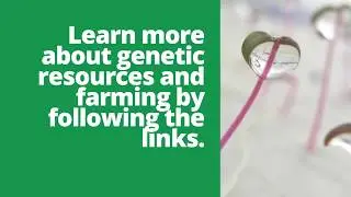 Access to Seeds Index - Genetic Resources