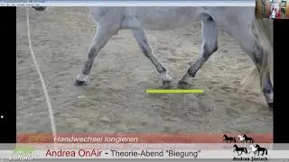 Andrea OnAir - Theorie 2 Biegung