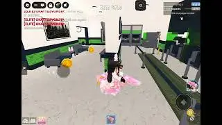 Little montage 