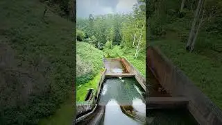 Munnar kundala dam🍃#munnar #munnarkerala #nature #shortvideo #waterfall #dam