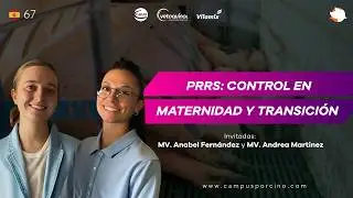 #67 - PRRS y sanidad: Control de maternidad y transición - MV. Anabel Fernández, MV. Andrea Martinez