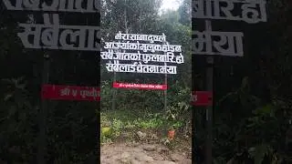 Jhaliko | Arjun Sapkota Ft. Melina Rai | Heart Touching Nepali Song