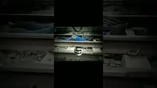 Risk men in Bangladesh 🇧🇩🔥 #shorts #trending #viral #bangladesh #fyp #fypシ゚viral