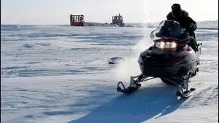 Mysterious 'Pinging' Sound In The Arctic: Animals Acting Very Strange