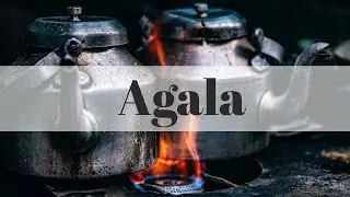 Pesach: Do You Need Kosher For Pesach Pot For Agala, Can You Cook Before Cleaning?