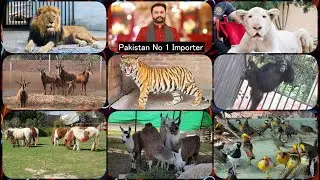 Visited at Lal Haveli Wildlife Breeding Farm in Multan Pakistan I Danish Rafique I Animal Importers