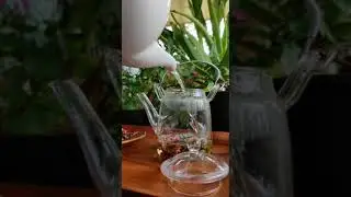 Chai Inspires - Chai Infusion
