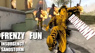 Insurgency Sandstorm Funny Gameplay Video - Funniest Moment Ever // damitj
