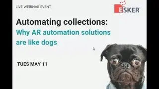Automating collections - Why AR automation solutions are like dogs