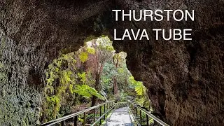 Thurston lava tube &ldquo;Nahuku&rdquo; full hike (#260) Hawai&rsquo;i