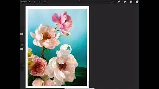 Precreate for Colour Mixing and Colour Theory
