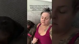 When your dog won't stop licking themselves at night#dog #dogs #pet #funny
