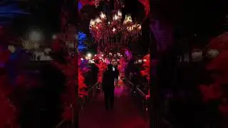 Hotel alila fort #music #love Shahpura wedding decoration