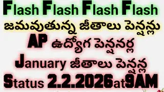 జమవుతున్న జీతాలు పెన్షన్లు|AP ఉద్యోగ పెన్షనర్ల January జీతాలు పెన్షన్ల Status 2.2.20